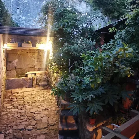 Vérités Dame Oporto